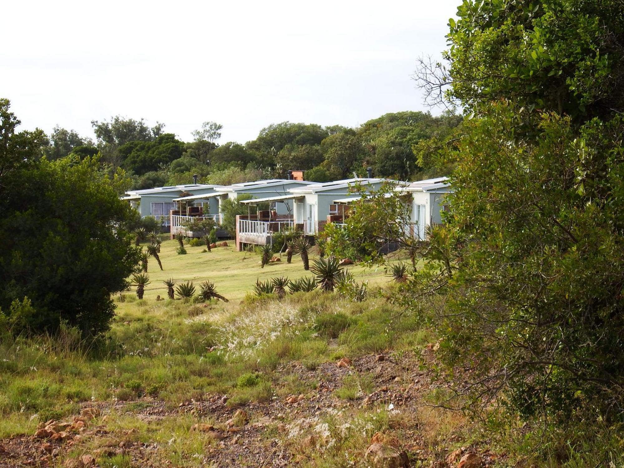 Stoneyvale Cottages Grahamstown Ngoại thất bức ảnh